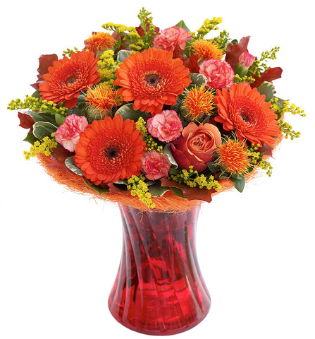 A1Shop Product Sample10